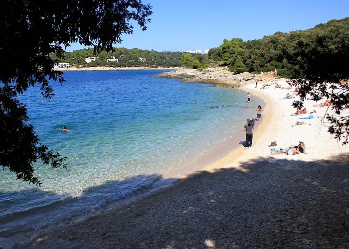 Family-friendly With Swimming Pool - 21314 Appartement *