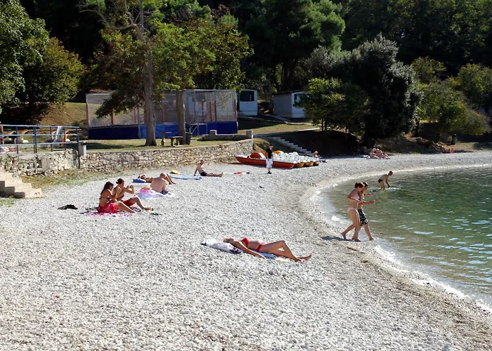 Family-friendly With Swimming Pool - 21314 Apartmán Pula